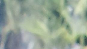 Rosario Marin fue vocera del gobernador Pete Wilson. (Archivo)