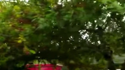 Este hombre lleva 20 años sirviendo a su comunidad, haciendo recados para todos.