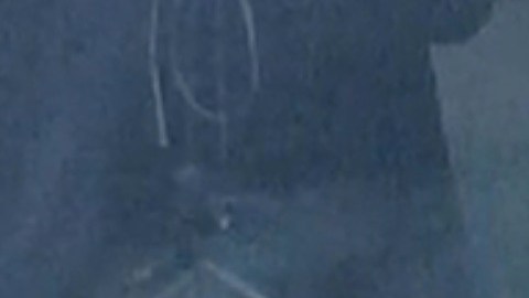 La foto que se hizo viral y que es, supuestamente, de un fantasma.