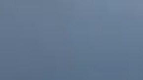 Este pequeño pit bull está listo para ser adoptado.