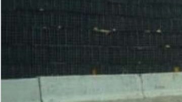 Un tiburón en Panama City, huyendo del huracán Michael.