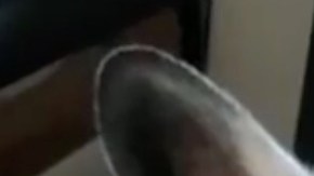 Uno de los vídeos de perritos que ya se hizo viral.