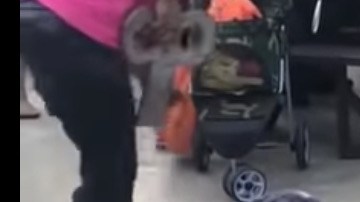 Disfraz de Halloween para perros.