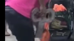 Disfraz de Halloween para perros.