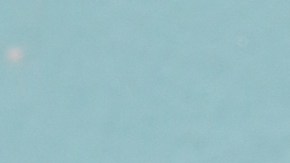 La nueva temporada de "Señora Acero"