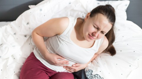 shutterstock_1012617232