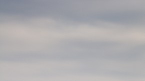 shutterstock_1038707068