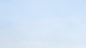 shutterstock_1170401734