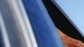 No todos los dueños limpian después de sus mascotas