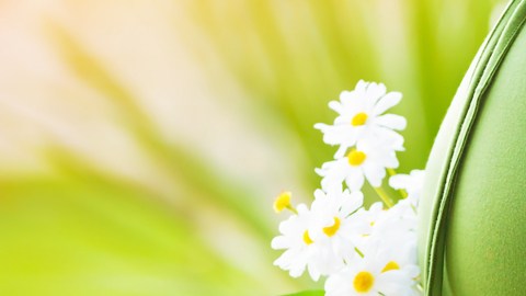 shutterstock_153265193