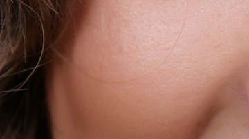 shutterstock_17353270