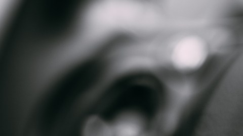 shutterstock_519032761
