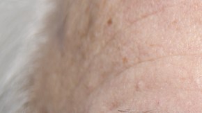 shutterstock_603714317