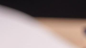 Cada estado tiene sus propias regulaciones de testamentaría en EEUU./Shutterstock