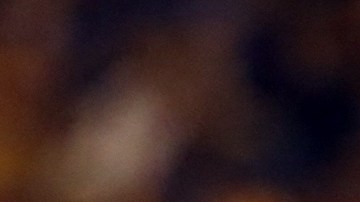 André-Pierre Gignac extendió su contrato con Tigres por tres años más