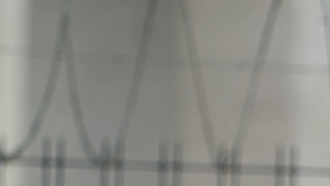 Protestan por la Ley antimemes.