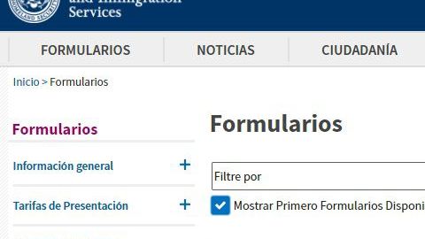 Por ahora son seis los beneficios migratorios a los que se puede aplicar vía internet.