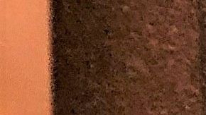 USCIS busca que los inmigrantes apliquen por cualquier beneficio desde la página web.