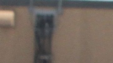 Fue una labor conjunta del FBI y la policía de Nueva York