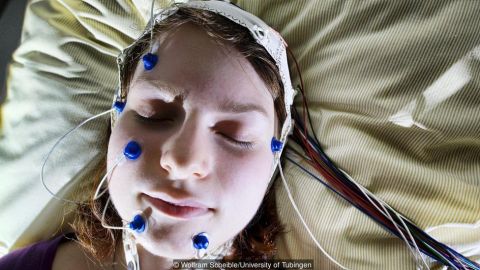 Una breve siesta ayuda a cristalizar la información emocional.