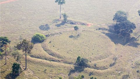 El consejo de Iphan evaluará el geoglifo en Acre.