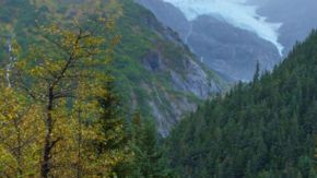 Los científicos piden un esfuerzo internacional para proteger los ecosistemas vírgenes.