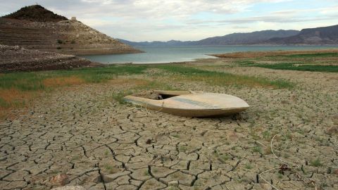 Los 20 años más cálidos que se registraron están entre los últimos 22.