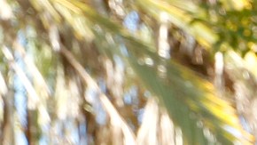 11/02/18 / LOS ANGELES/ Karla Cativo, joined by members of The San Romero Coalition, hold a news at Plaza Monsignor Romero, to announce a fundraiser for humanitarian efforts aimed at supporting the Central American caravan. (Aurelia Ventura/La Opinion)