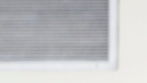 California registra una alta participación de votantes en estas elecciones.