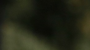 Santos Tecum se hizo el muerto para lograr sobrevivir el ataque. (Aurelia Ventura/ La Opinion)