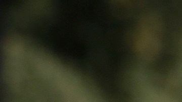 Santos Tecum se hizo el muerto para lograr sobrevivir el ataque. (Aurelia Ventura/ La Opinion)