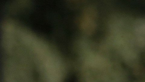 Santos Tecum se hizo el muerto para lograr sobrevivir el ataque. (Aurelia Ventura/ La Opinion)