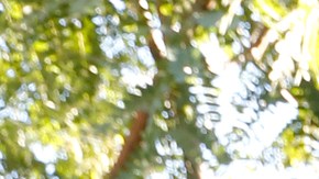 La estatua fue deonada en 1973. / foto: Aurelia Ventura.