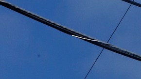 Carteles de negocios de fianza ceca de la Cárcel central de hombres en Los Ángeles. (Aurelia Ventura/La Opinion)