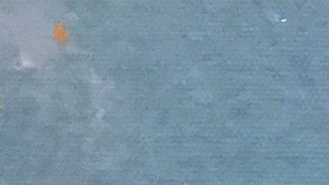 Fotos de Mely Corado. Su familia presentó una demanda contra la Policía y la ciudad de Los Ángeles por la muerte de la mujer en medio de un tiroteo con un hombre que era perseguido y se atrincheró en la tienda.(Aurelia Ventura/La Opinion)