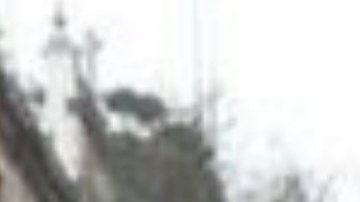 Fuerte polarización por llegada de AMLO al poder