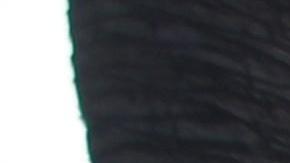 Una fila para votar en Los Ángeles.