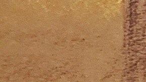 Los comentarios de los abogado de "El Chapo" en Twitter los tiene en problemas