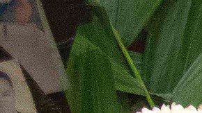 Un altar a Jesús Malverde, considerado como el santo de los narcotraficantes.