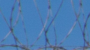 Se esperan largas demoras para viajeros que intenten ingresar a EEUU