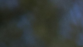 Patrulla Fronteriza detiene a inmigrantes en McAllen, Texas.