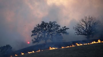 Las llamas del incendio Woolsey en Malibu State Park. EFE