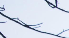 California sigue bajo fuego.