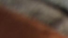 Los vientos vuelven a soplar dificultando la tarea de los bomberos.  EFE