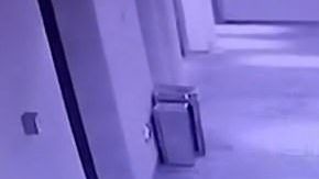 La serpiente en los pasillos.