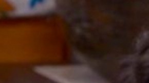 La pareja conocida como "Aristemo" en "Mi marido tiene más familia"