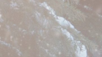 Tu auto necesita ser protegido de las bajas temperaturas del invierno