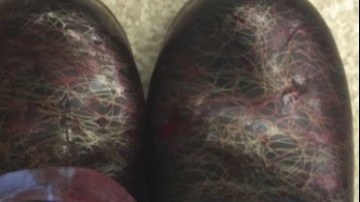 Captura de pantalla 2018-11-12 a las 9