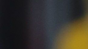 Dos personas lanzan una paloma durante una ceremonia en conmemoración del centenario del Armisticio de la Primera Guerra Mundial del 11 de noviembre de 1918, en la tumba del soldado desconocido en la Columna de Congres, en Bruselas, Bélgica, el 11 de noviembre de 2018, los líderes mundiales se han reunido en Francia para conmemorar el 100 aniversario. del primer armisticio de la guerra mundial, con servicios que tienen lugar en todo el mundo para conmemorar la ocasión. EFE / OLIVIER HOSLET