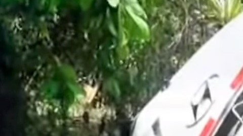 El chofer del autobús perdió el control y se fue a un barranco en la zona de la amazonia peruana.